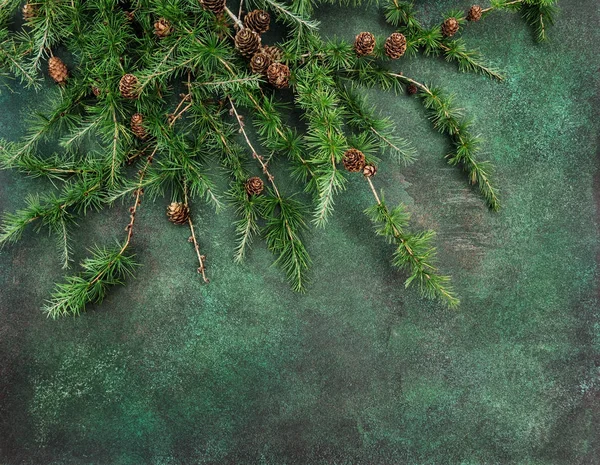 Pine tree branches dark concrete texture Holidays background