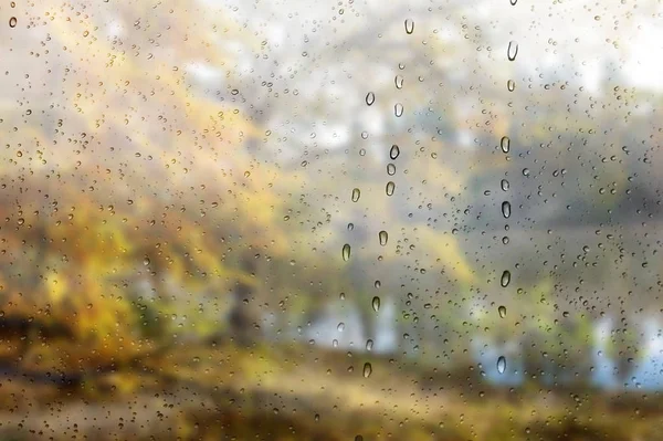 Fall in park Beautiful autumn landscape Rainy day effect — Stock Photo, Image