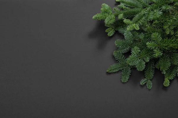 Siyah arka plan Noel ağacı dalları — Stok fotoğraf