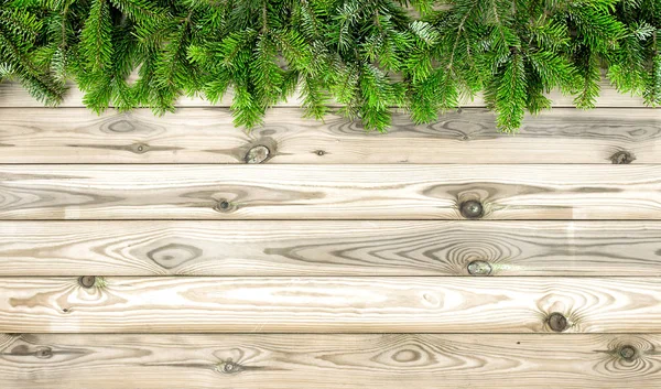 Karácsonyfa ágai sötét háttér — Stock Fotó