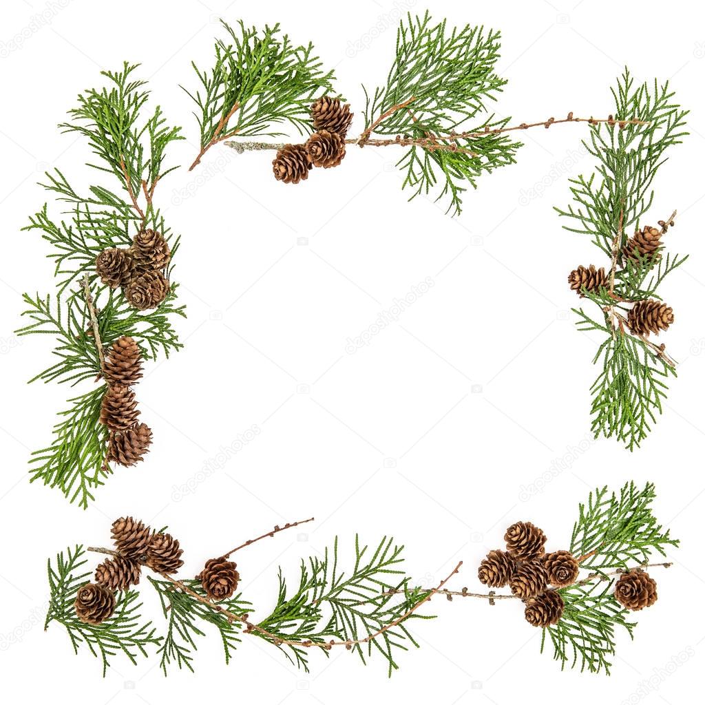 Frame thuja tree branchescones Christmas floral flat lay