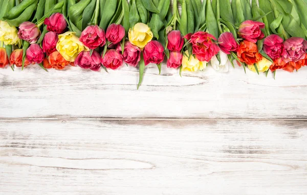 Frische mehrfarbige Tulpen Frühlingsblumen — Stockfoto