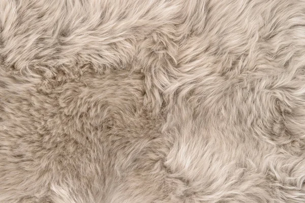 Natural sheepskin rug background texture sheep fur — Stock Photo, Image