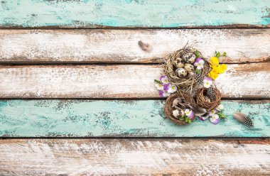 Paskalya yumurta homo çiçek tatil dekorasyon