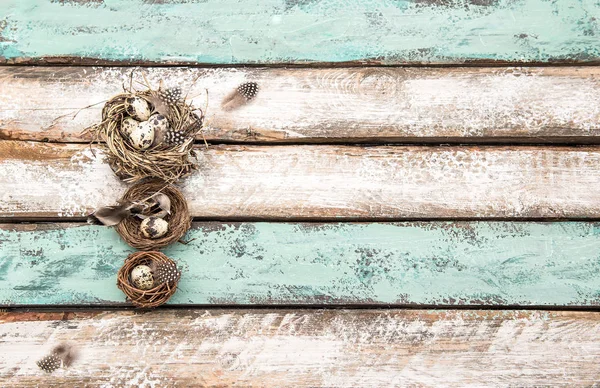 Ostereier Nest rustikal Holz Hintergrund Urlaub Dekoration — Stockfoto