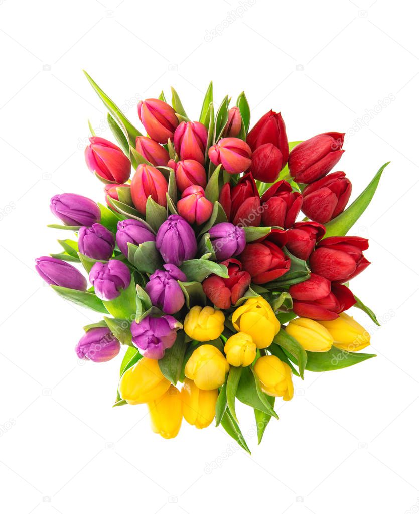 Fresh tulips Spring flowers red pink yellow purple