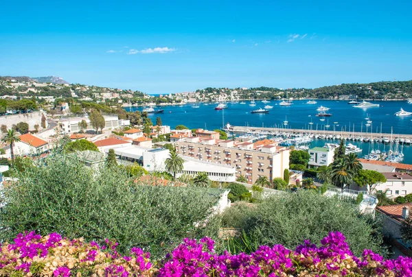 Francouzská reviera luxusní resort Villefranche-sur-Mer azalea květiny — Stock fotografie