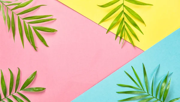 Foglie di palma verde Piatto floreale Vacanze concetto — Foto Stock