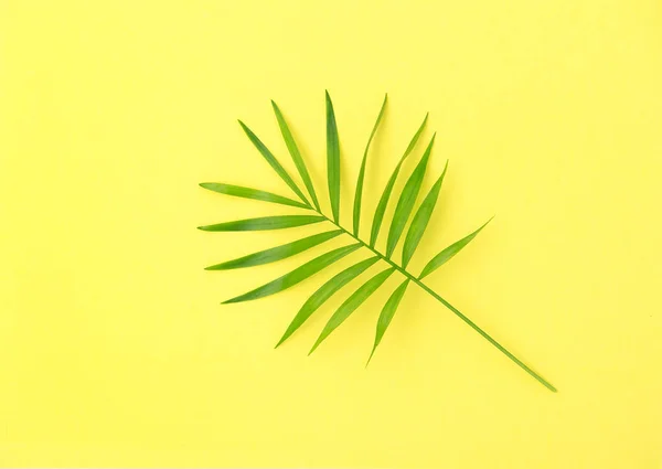 棕榈叶黄色背景花卉平躺暑假 — 图库照片