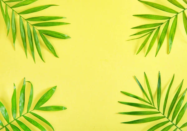 Palm leaves yellow background Floral flat lay Summer holidays — Stock Photo, Image