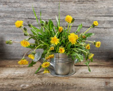 Rustik klasik ahşap arka plan karahindiba çiçek yeşil yaprakları