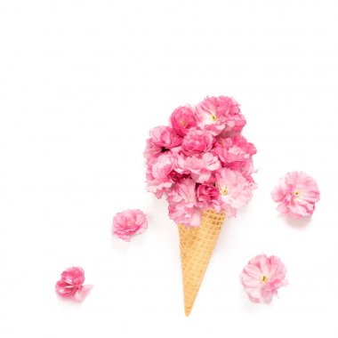 Bahar çiçekleri kiraz ağacı çiçeği çiçek düz yatıyordu