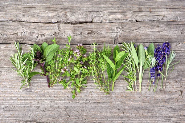 Taze ot yemek arka plan fesleğen, biberiye, nane, adaçayı