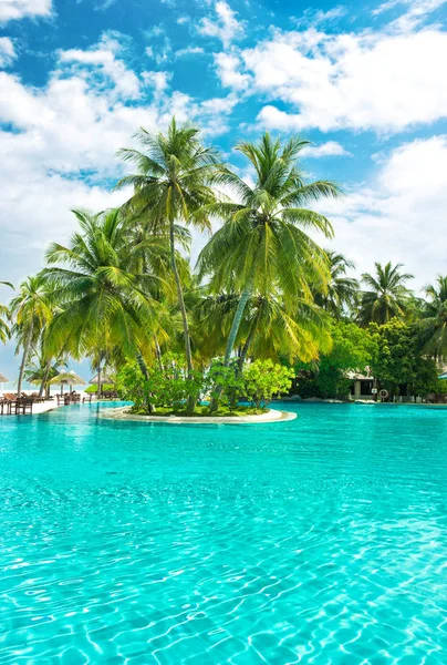 Piscina plantas tropicais palmeiras céu azul nublado — Fotografia de Stock