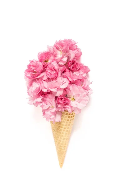 Cerezo flor flor helado gofre cono —  Fotos de Stock