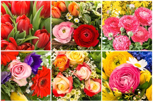 Bouquet spring flowers Tulip rose ranunculus Floral collage — Stock Photo, Image