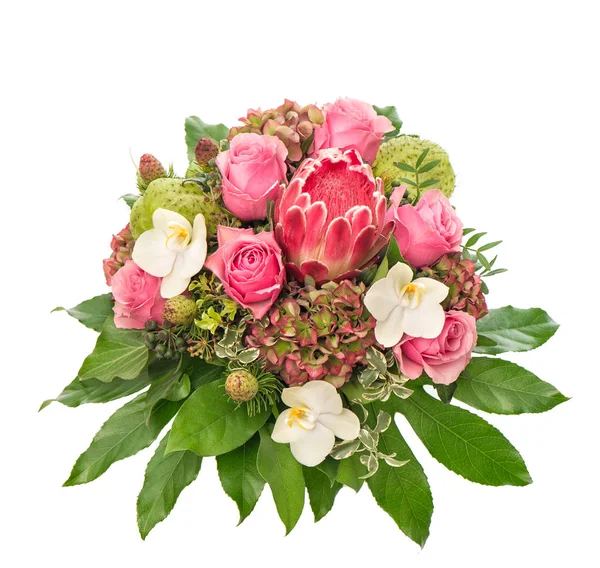 Rozen roze exotische bloem Protea orchidee hortensia — Stockfoto