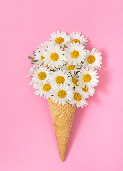 Chamomile flowers pink background Floral flat lay daisy — ストック写真