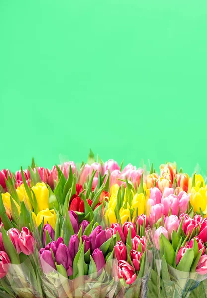 Kwiaty Tulipany Wiosna kwiaty Walentynki — Zdjęcie stockowe