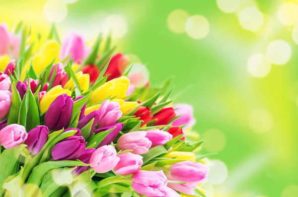 Wiosna tulipan kwiaty bukiet niewyraźne tło — Zdjęcie stockowe