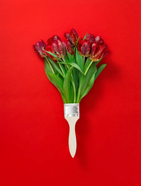 Červený tulipán květiny štětec Kreativní květinový byt ležel — Stock fotografie