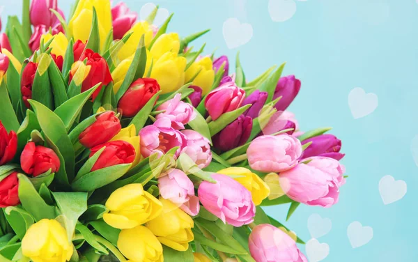 Flores de tulipán flores de primavera fondo azul corazones bokeh —  Fotos de Stock