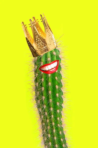 Cactus neon yellow background Creative contemporary art collage — Stock Photo, Image