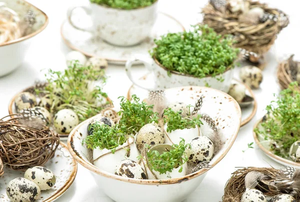 Easter Table Decoration Quail Eggs Green Plants — Stock Photo, Image