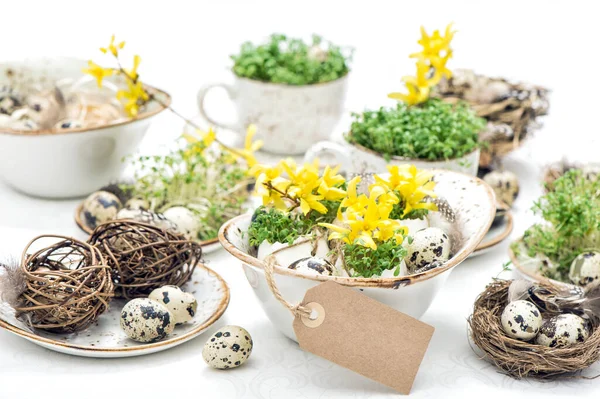 Decoración Casera Pascua Con Huevos Codorniz Flores Vacaciones Naturaleza Muerta — Foto de Stock