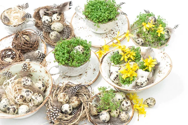 Decoración Casera Pascua Con Huevos Codorniz Flores Forsitia Decoración Mesa —  Fotos de Stock