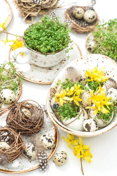 Decoración Casera Pascua Con Huevos Codorniz Flores Arreglo Mesa Vacaciones —  Fotos de Stock