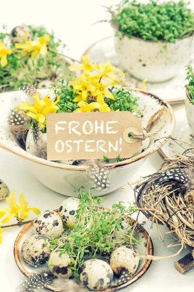 Paskalya Evi Dekorasyonu Bıldırcın Yumurtaları Fındık Çiçekleriyle Klasik Tonlu — Stok fotoğraf