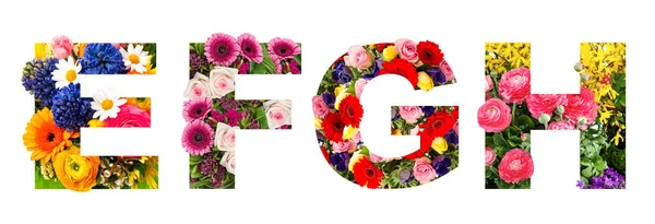 Floral Lettering Alphabet Flower Heads Bouquet Isolated White Background — Stock Photo, Image