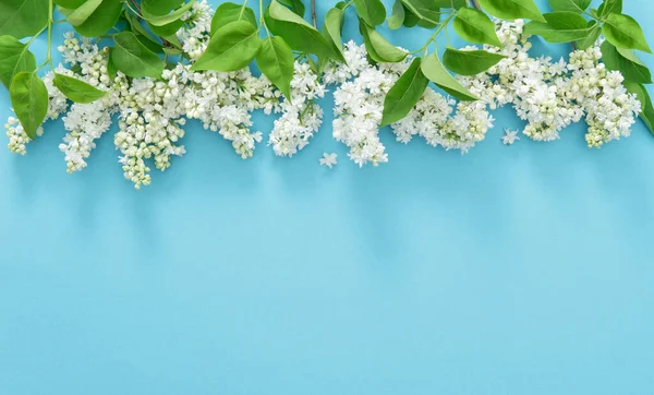 Fleurs Lilas Blanches Sur Fond Bleu Frontière Florale — Photo