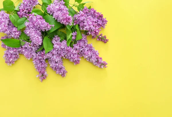 黄色い背景にライラックの花 花の国境 — ストック写真