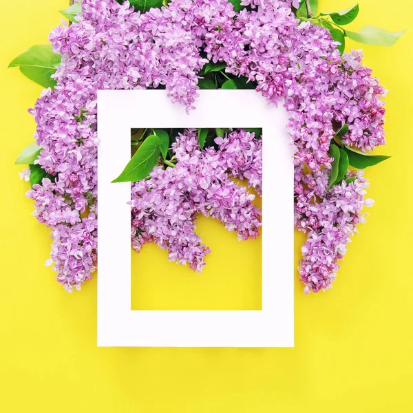 Lilac Blommor Med Vit Ram Gul Bakgrund — Stockfoto