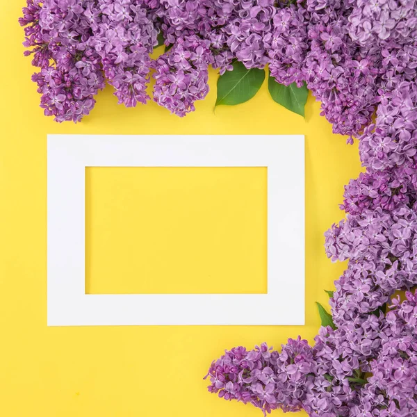 Lilac Blommor Med Hälsningskort Ram Gul Bakgrund — Stockfoto