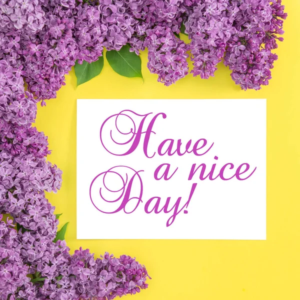Lilac Blommor Gul Bakgrund Trevlig Dag — Stockfoto
