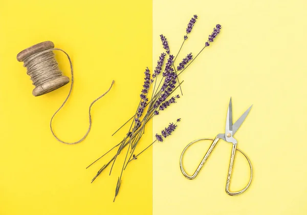 Gedroogde Lavendelbloemen Vintage Schaar Minimale Vlakke Lay — Stockfoto