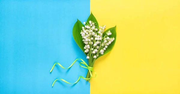 Liliom Völgy Virágok Sárga Kék Háttér Virágágyás — Stock Fotó