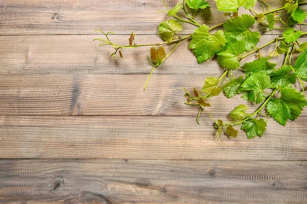 Holzuntergrund Mit Rebenblättern Umrandet Grünes Traubenblatt — Stockfoto