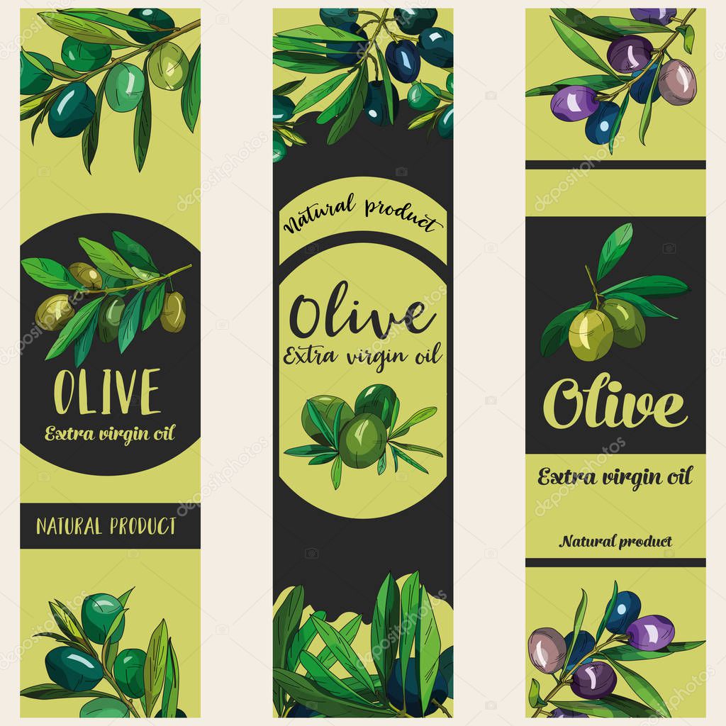 Set of templates label for olive oil.