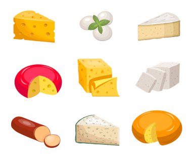 Peynir takımı. Sarı parça çedar oval beyaz mozzarella gouda dilimi mavi küflü rokfor..