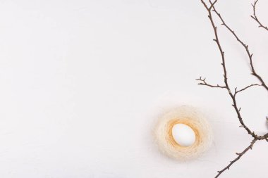 Paskalya kavramı. Beyaz tavuk yumurta yuva ve üzerinde izole şube