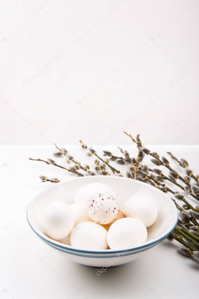 Easter concept. White eggs in bowl, and goat willow branches.