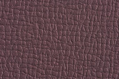 Arkaplan için deri desenli kahverengi kağıt.