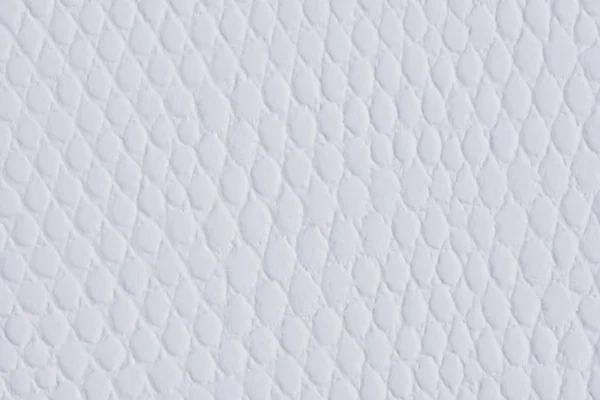 Arkaplan için deri desenli beyaz kağıt. — Stok fotoğraf