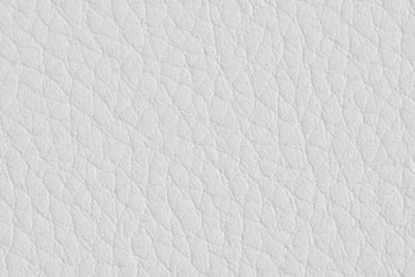 Livro branco com textura de couro para fundo . — Fotografia de Stock