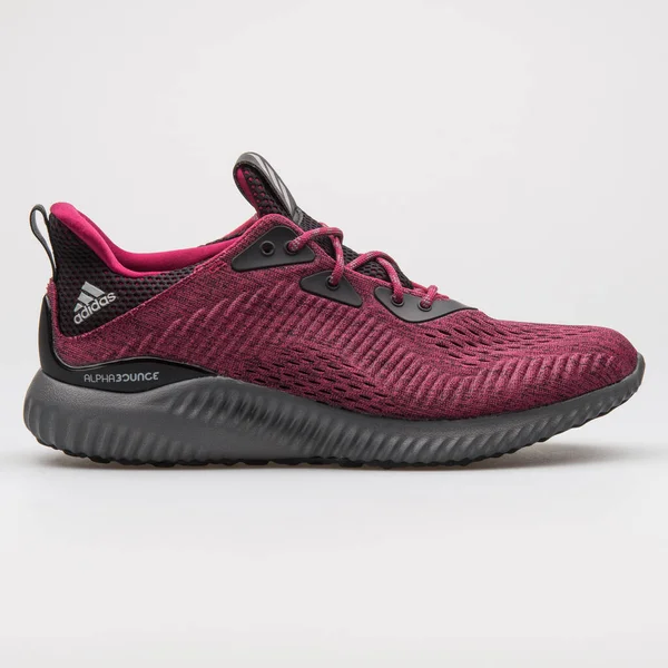 Vienna Austria 2017 Adidas Alphabounce Burgundy Grey Sneaker White Background — 스톡 사진