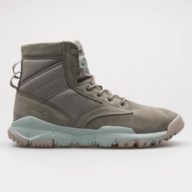 VIENNA, AUSTRIA - 22 Ağustos 2017: Nike SFB 6 NSW Deri Gri ve yeşil spor ayakkabılı beyaz arka plan.